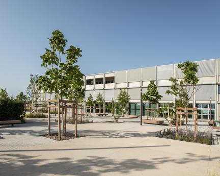 Halle innovation 5